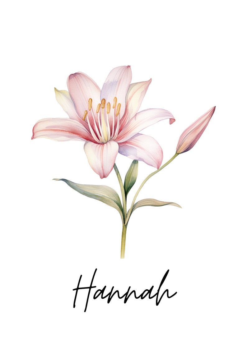 May include: A watercolor painting of a pink lily with a bud, on a white background. The name "Hannah" is written in cursive below the flower.