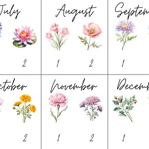 May include: A chart with the months of the year, July through December, with a watercolor illustration of a flower for each month. The flowers are: bluebells, water lily, pink flowers, poppy, aster, bluebell, cosmos, marigold, pink carnation, chrysanthemum, holly, and daffodil.