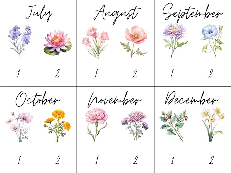 May include: A chart with the months of the year, July through December, with a watercolor illustration of a flower for each month. The flowers are: bluebells, water lily, pink flowers, poppy, aster, bluebell, cosmos, marigold, pink carnation, chrysanthemum, holly, and daffodil.