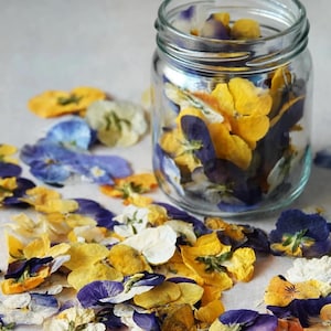 25/50/100 pezzi di fiori commestibili per decorazioni per torte - fiori viola commestibili secchi, topper per torte, decorazione per torte, resina, fiori per gioielli