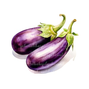 Watercolor Eggplant Clipart, Eggplant PNG, Vegetables, Food Clip art, Digital Download
