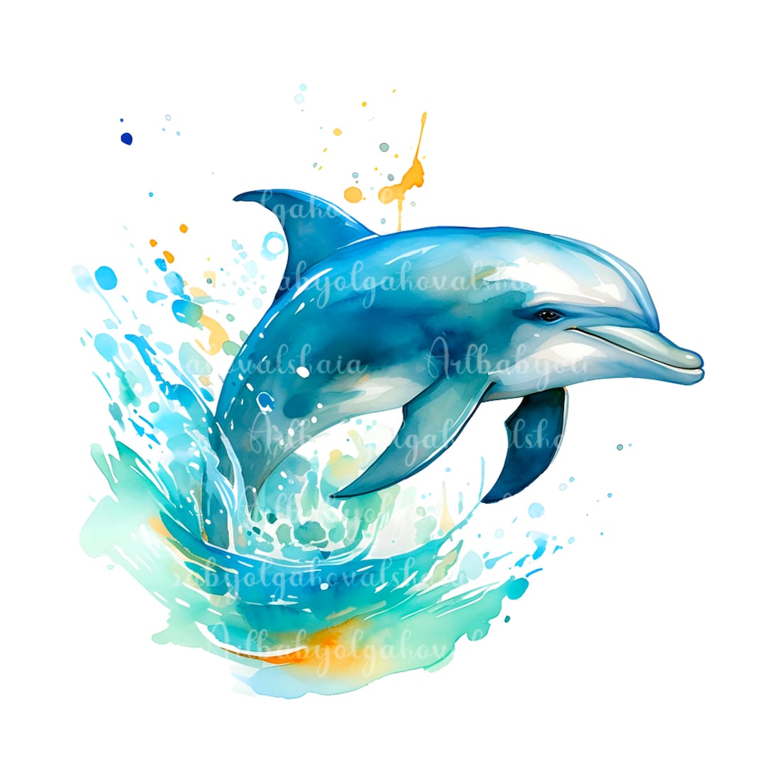 水彩イルカのクリップアート：透明PNG（デジタルダウンロード） - Etsy
