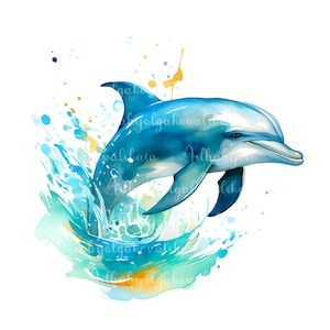 Watercolor Dolphin, Dolphin PNG, Watercolor Clipart, Digital Download