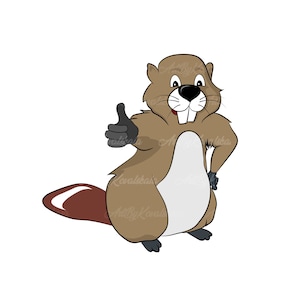 Beaver SVG, Beaver Clipart, Digital Download