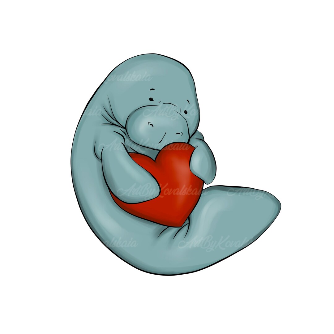 Manatee Clipart, Manatee, Heart, PNG, Digital Download - Etsy