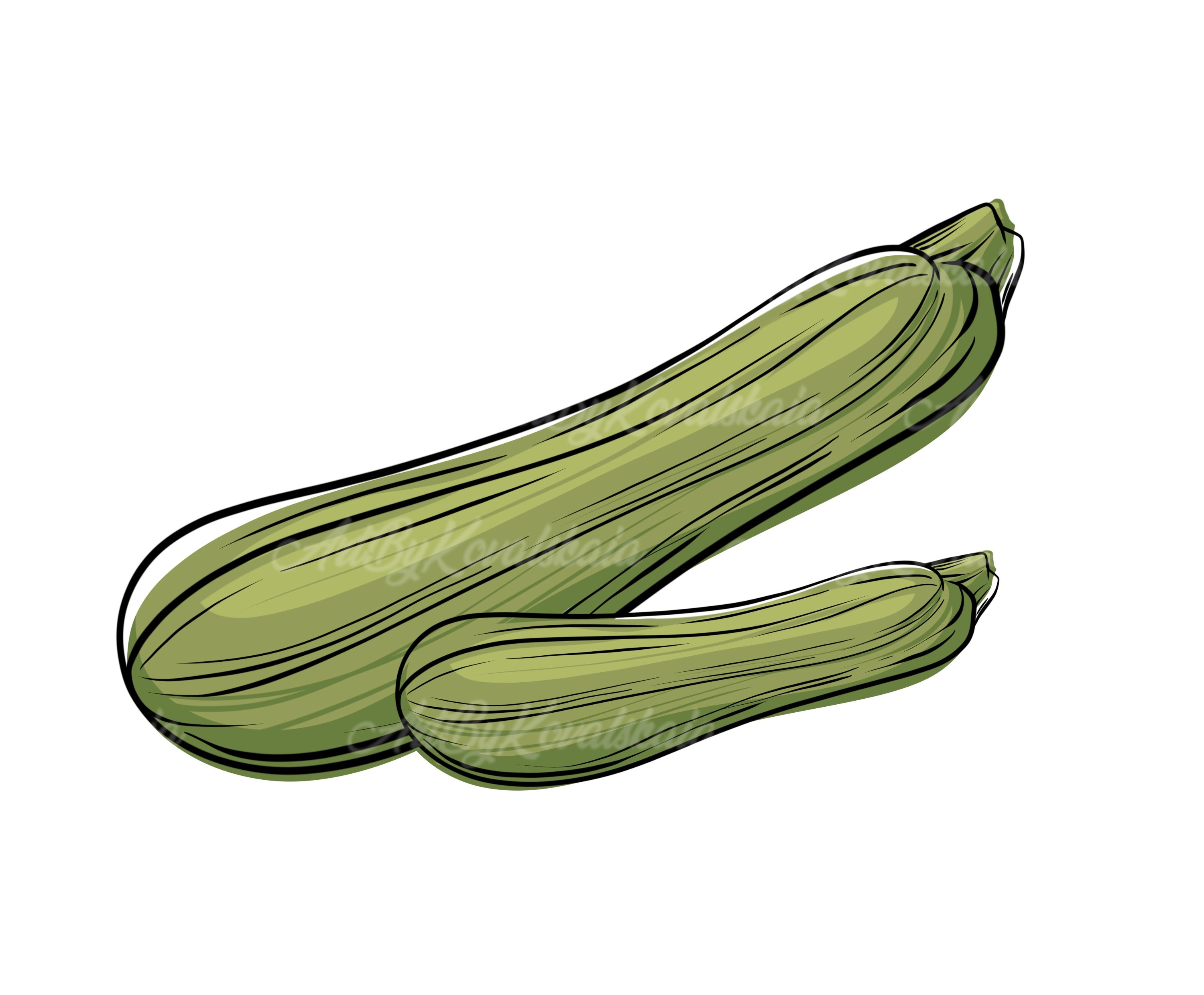 Zucchini Clipart, Zucchini PNG, Vegetable Clip Art, Digital Download - Etsy  Sweden