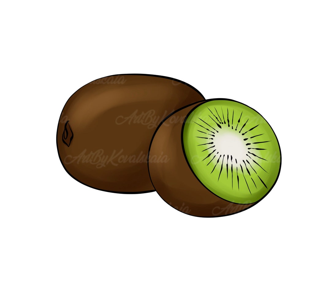 Kiwi Clipart, Kiwi PNG, Fruits Clip Art, Digital Download Etsy