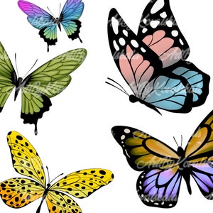 Butterfly Clipart, Butterflies PNG, Digital Download