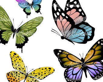 Vlinder clipart, vlinders PNG, digitale download