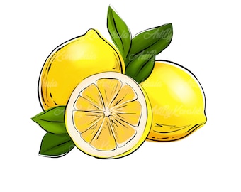Lemon Clipart, Lemons PNG, Fruits Clip art, Digital Download