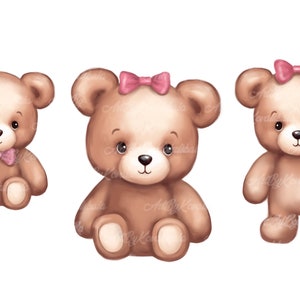 Teddy Bear Clipart, Cute Bear PNG, Baby Shower Girl, Digital Download