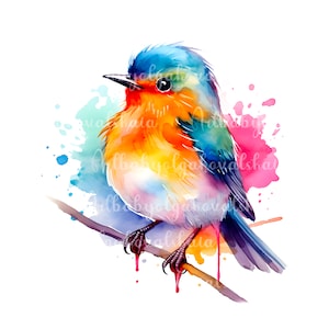 Watercolor Birdie on a branch Clipart, Bullfinch PNG, Digital Download
