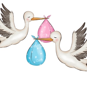 Stork Clipart: Baby Shower PNG Graphics (Digital Download)