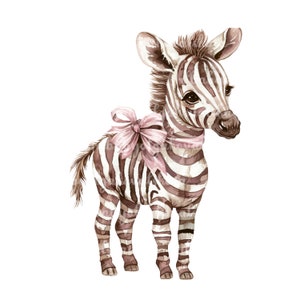 Zebra Clipart, Watercolor Cute Zebra PNG, Digital Download