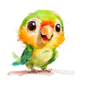 Parrot Clipart, Watercolor Parrot PNG, Digital Download