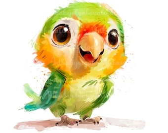 Parrot Clipart, Watercolor Parrot PNG, Digital Download