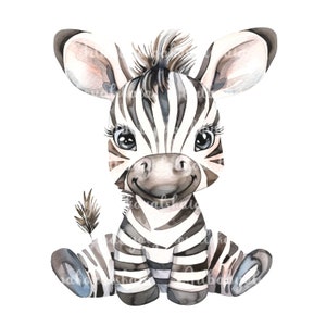 Zebra Clipart, Watercolor Zebra PNG, Digital Download