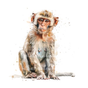 Monkey Clipart, Watercolor Monkey PNG, Digital Download