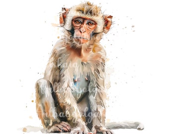 Affe Clipart, Aquarell Affe PNG, digitaler Download