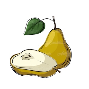Pear Clipart, Pear PNG, Fruits Clip art, Digital Download