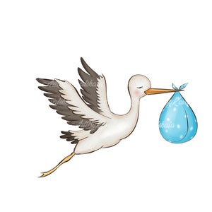 Stork Baby Shower Clipart: Boy PNG Image (Digital Download)