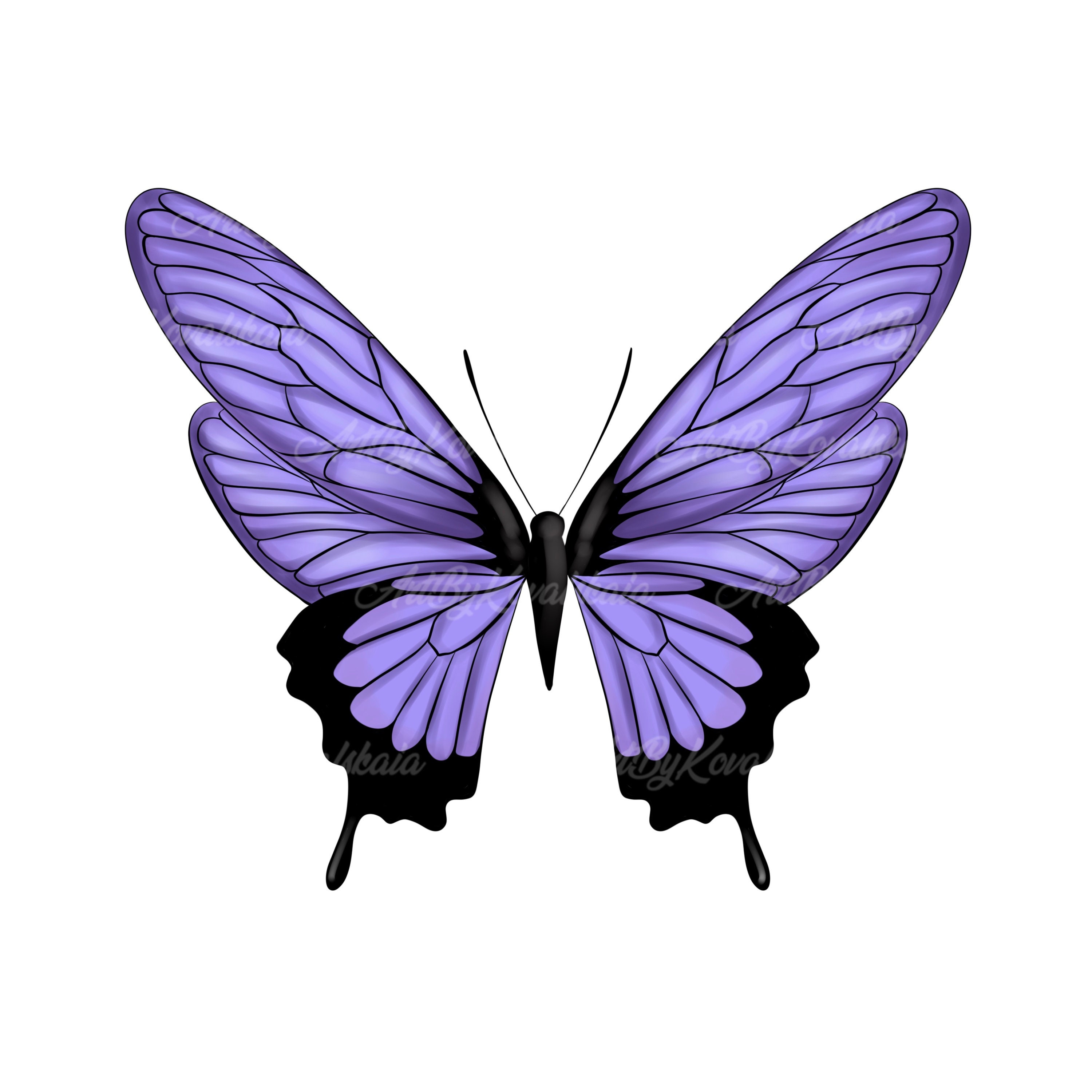 Butterfly Clipart, Butterfly PNG, Digital Download Etsy