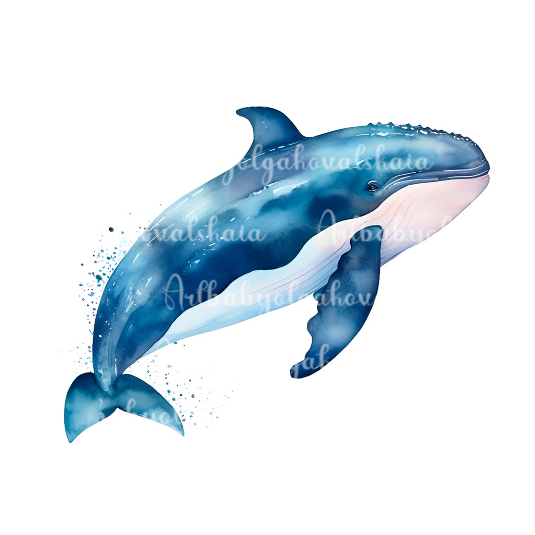 Watercolor Whale Clipart: Sea Animal PNG (digital Download) - Etsy