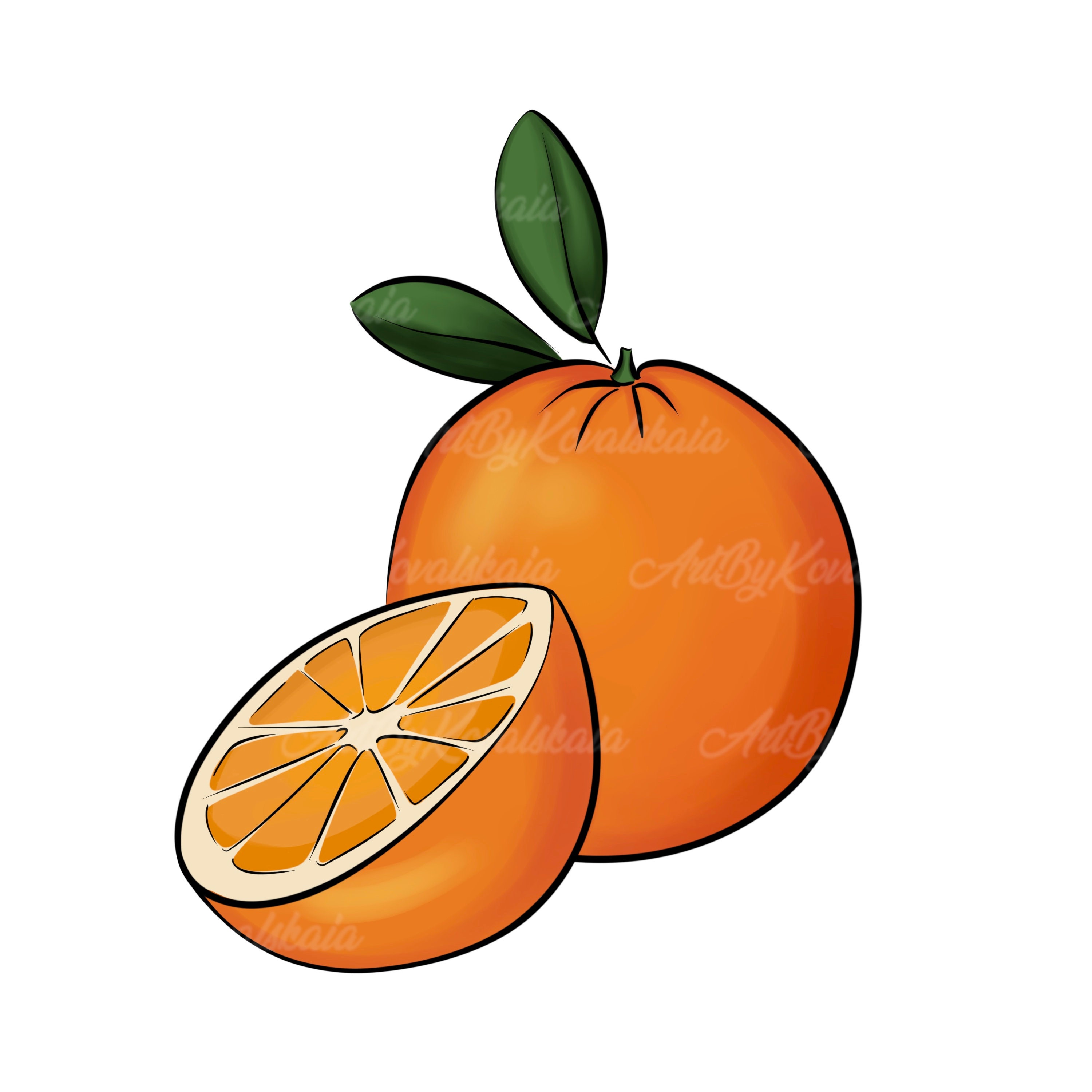 Oranges Clipart, Orange PNG, Fruits Clip Art, Digital Download - Etsy
