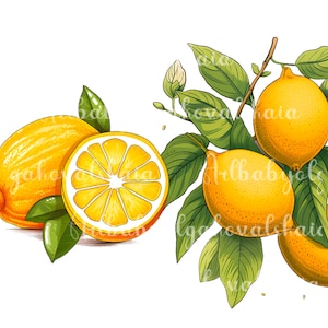 Lemon Clipart, Lemons PNG, Fruits Clip art, Retro Style, Digital Download