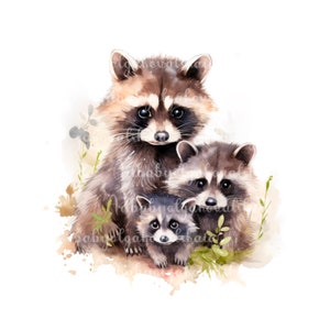 Cute Raccoon PNG, Watercolor Raccoon Clipart, DIGITAL DOWNLOAD