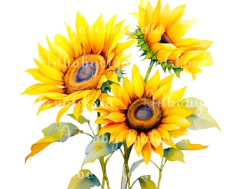 Watercolor Sunflowers Clipart: Floral Bouquet PNG (Digital Download)
