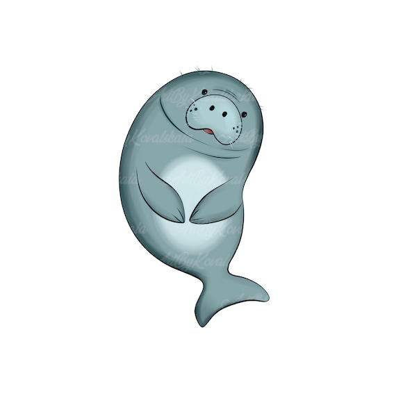 Clipart Manatee