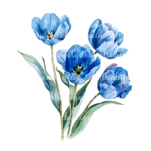 Tulips PNG, Watercolor Blue Tulips Clipart, Digital Download