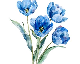 Tulpen PNG, Aquarell Blaue Tulpen Clipart, digitaler Download