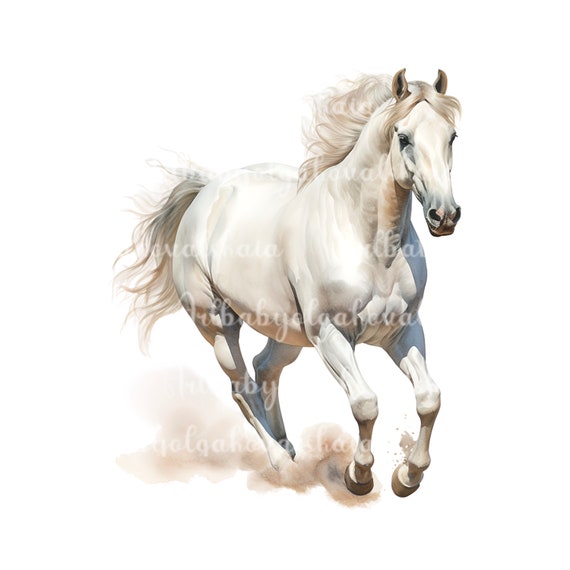 白い馬のクリップアート、水彩馬 PNG、デジタルダウンロード - Etsy 日本