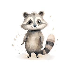 Cute Raccoon PNG, Watercolor Raccoon Clipart, Digital Download