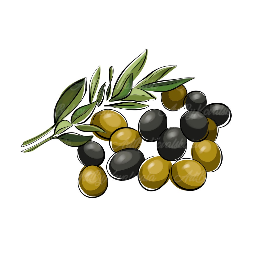 Olives Clipart, Olives PNG, Digital Download Etsy