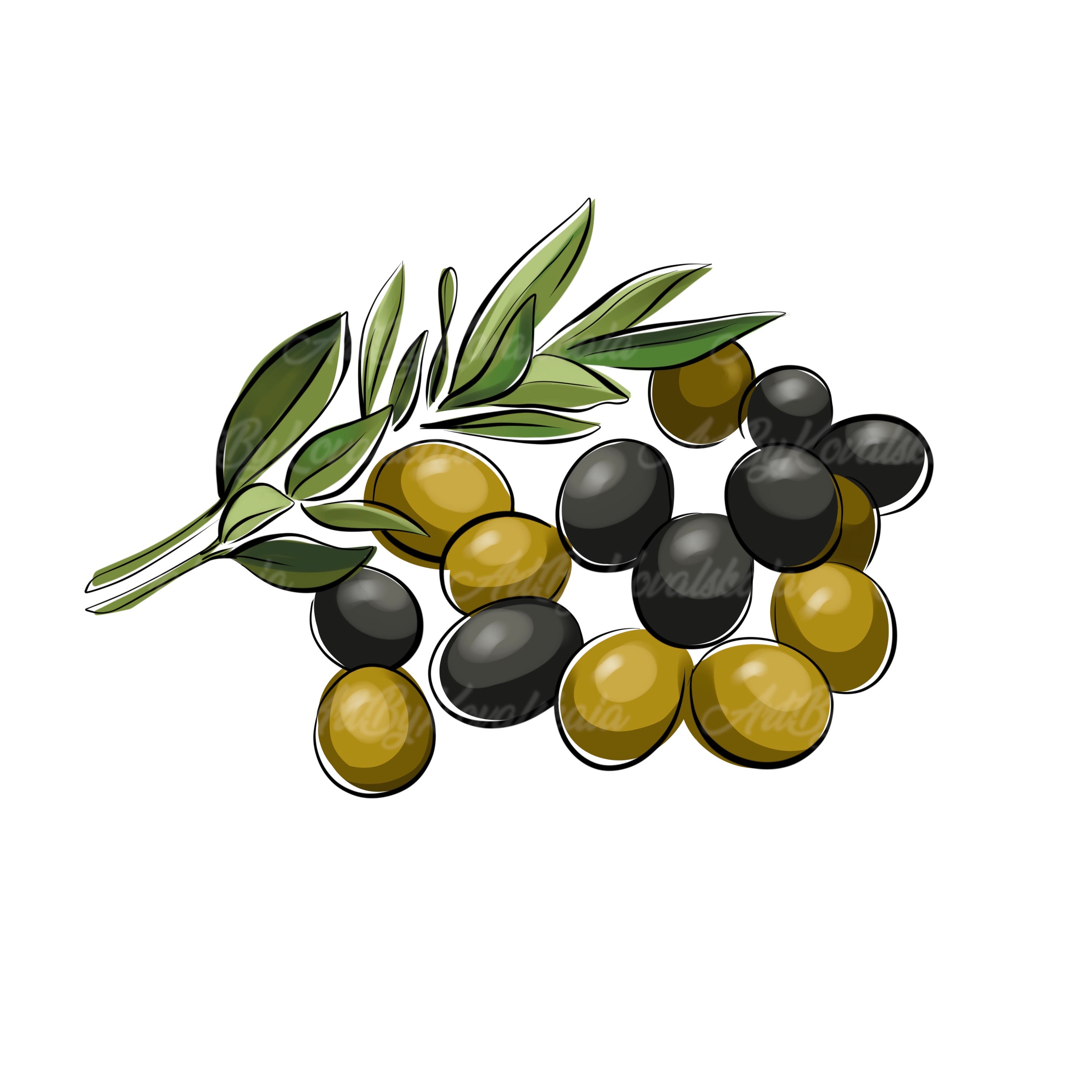 Olives Clipart, Olives PNG, Digital Download Etsy