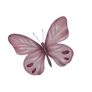 Butterfly Clipart, Butterfly PNG, Digital Download