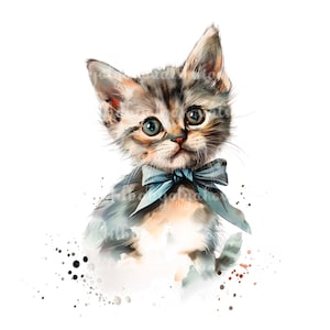 Kat clipart, aquarel schattige kat PNG, digitale download