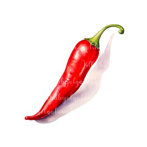 Watercolor Red Chili Pepper Clipart: Vegetable PNG (Digital Download)