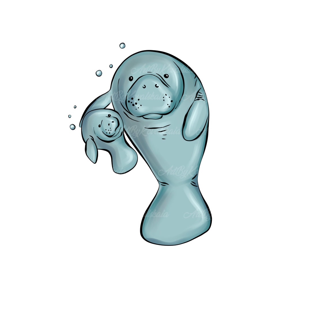 Manatee Clipart, Manatees PNG, Digital Download - Etsy