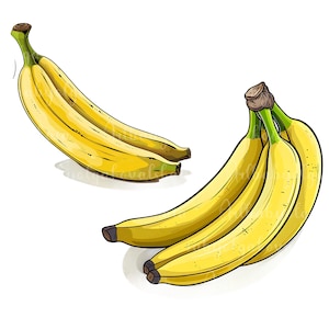 Bananas Clipart, Banana PNG, Fruits Clip art, Digital Download