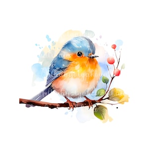 Watercolor Birdie on a branch PNG, Bullfinch Clipart, Digital Download