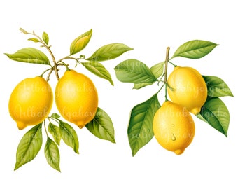 Citron Clipart, Citrons PNG, Citrus Clip art, Téléchargement numérique