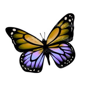 Clipart De Borboleta, Borboleta PNG, Download Digital