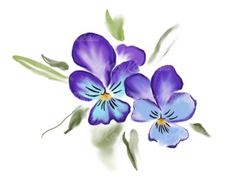 Heartsease Clipart, Watercolor Flowers PNG, Digital Download