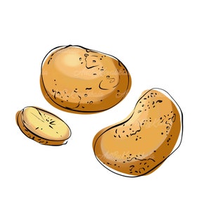 Potato Clipart, Potatoes PNG, Vegetable Clip art, Digital Download