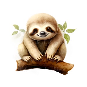 Sloth PNG, Cute Sloth Clipart, Digital Download