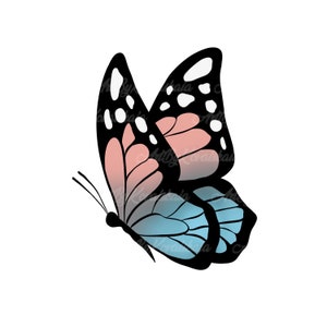 Clipart De Borboleta, Borboleta PNG, Download Digital